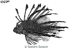 Interpretation of lion-fish by Gaetano Gargiulo 
